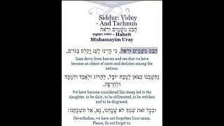 Habet Mishamaim  Modzitz [upl. by Tully]