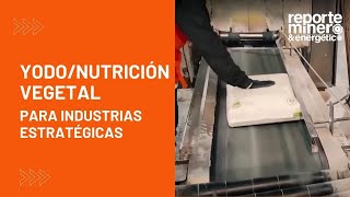 YODONUTRICIÓN VEGETAL PARA INDUSTRIAS ESTRATÉGICAS [upl. by Pardner]