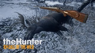 Chasse avec la nouvelle 270  THE HUNTER CALL OF THE WILD FR [upl. by Aruam450]