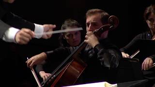 Elgar Cello Concerto mvt 3 [upl. by Rosol]