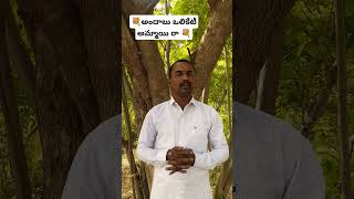 అందాలు ఒలికేటి అమ్మాయి రాnrnpmusicnarendar Goud songs nrnpmusic [upl. by Llij]