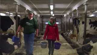 Part 1 Life Of A Dairy Farmer [upl. by Lasorella]