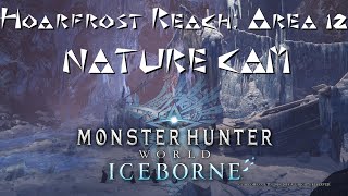 MHW Iceborne Hoarfrost Reach Area 12 Nature Cam [upl. by Tarrance]