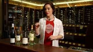 Riesling Sauvignon Blanc Chardonnay Pinot Grigio Pinot Gris  White Wine Guide [upl. by Budge]