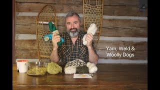 Yarn Weld and Woolly Dogs [upl. by Phoebe]