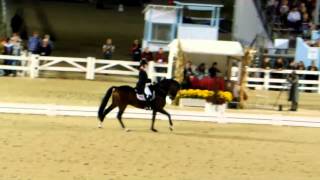 2014 Dressage at Devon  Grand Prix Freestyle [upl. by Raye]