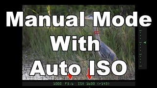 Manual Mode With Auto ISO [upl. by Llib]