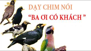 DẠY CHIM NÓI  BA ƠI CÓ KHÁCH [upl. by Crifasi786]