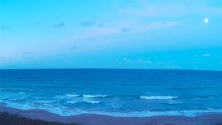 Live Florida Beach Cam  Jensen Beach FL Live WebCam HD [upl. by Winna]