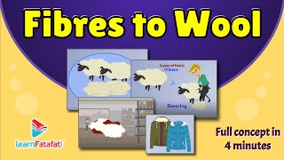 Class 7 Science Fibre to Fabrics  Fibres to Wool  LearnFatafat [upl. by Waxman909]