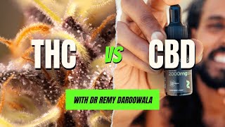 CBD vs THC Understanding the Key Differences [upl. by Atinal]