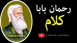 Rahman Baba Kalam  Pashto Ghazal  Pashto Kalam  Rahman Baba Poetry Rabab Cover [upl. by Otilegna72]