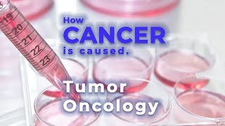 Cancer  Oncology  Oncogene  Tumor suppressor gene  Malignant tumor  Metastasis [upl. by Lanoil]