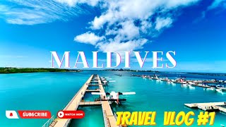 Maldives Tour  Amaya Kuda rah  Part 1  Travel Couple log  Sea plane experience [upl. by Ayle3]