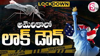 అమెరికాను భయపెడుతున్న కొత్త వైరస్  Lockdown in America  EEE Mosquito Virus  sumantvbheemili [upl. by Oderfla829]