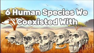 6 Ancient Human Species We Once CoExisted With [upl. by Leddy952]