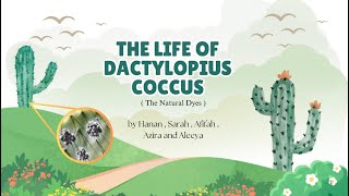 Dactylopius Coccus Assignment 1 [upl. by Wakeen506]