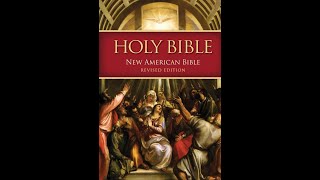 Old Testament of the New American Bible [upl. by Sairacaz441]