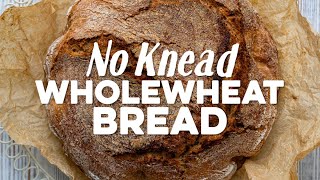 No Knead Wholemeal Bread Recipe  So Easy [upl. by Nnaillij477]