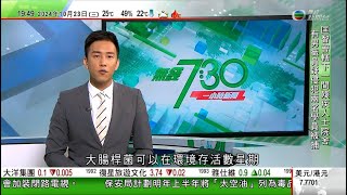 無綫TVB 730一小時新聞｜習近平指世界進入新動盪變革期 倡建設「和平金磚」維護共同安全｜本港首次發現恐龍骨骼化石料屬白堊紀時期｜潭美吹襲菲律賓至少14死逾38萬人受災｜20241023 TVB [upl. by Htiaf]