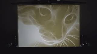 Cat Lithophane 3D Resin Print Timelapse [upl. by Hatokad]