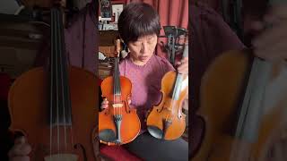 Why Student Violin Has 4 Fine Tuners [upl. by Sad]