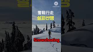 Snowshoeing ｜설피산행  雪鞋行走 [upl. by Ticon]