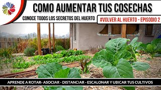 🌱 AUMENTA la PRODUCCIÓN en tu HUERTO  APRENDE las BASES del CULTIVO ORGÁNICO VolverAlHuerto [upl. by Eseila]