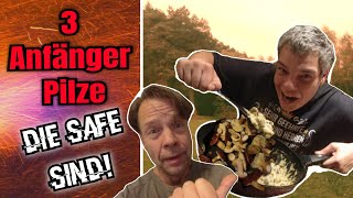 Wir suchen drei Top Anfänger Pilze im Wald Verwechslungsgefahr Wie du die essbaren Pilze findest [upl. by Haliled]