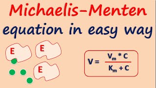 MichaelisMenten equation in easy way [upl. by Llennaj]