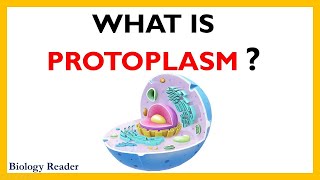 Protoplasm  Definition Diagrams Components Properties and Functions [upl. by Akeirahs]