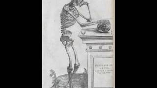 Andreas Vesalius [upl. by Nelson]