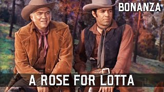 Bonanza  A Rose for Lotta  Episode 01  Western Series  FULL EPISODES  English [upl. by Haisej]