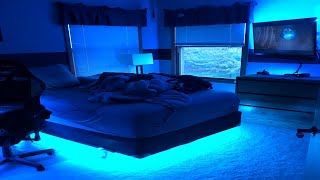 BEDROOM RGB LED Light Strips  Airgoo DreamColor LED Strip [upl. by Esnahc217]