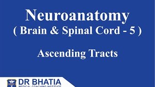 Neuroanatomy Brain amp Spinal Cord  5 Ascending Tracts [upl. by Cristian]