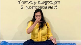 Episode 141  5 Daily Routine Pranayama’s [upl. by Grof839]