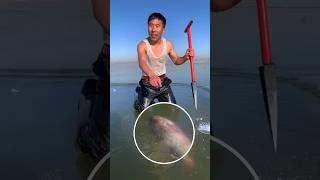 Massive Shadow Lurking Under Frozen Lake 😱 Incredible Ice Fishing Discovery [upl. by Novoj]