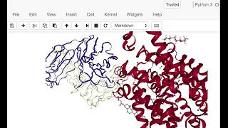 BioPython 3D Structure Analysis [upl. by Godderd]