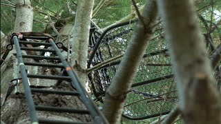 5 Hot Treestand Setup Tips For Big Bucks [upl. by Inoliel]