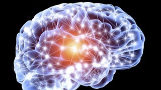 La neurogénèse  le développement du cerveau de A à Z [upl. by Worlock]