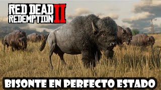 Como cazar un BISONTE con la PIEL en PERFECTO ESTADO en Red Dead Redemption 2✔ [upl. by Peace]