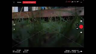 Live streaming of Jack Rabbit FPV [upl. by Nevetse]