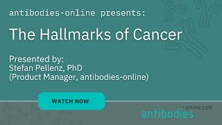 Hallmarks of Cancer Webinar  Presented by antibodiesonline  Stefan Pellenz PhD [upl. by Aratas]