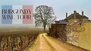 Burgundy France Wine Tour  Best Pinot Noir amp Chardonnay In The World [upl. by Yzdnil]