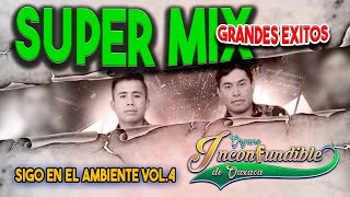 SUPER MIX GRANDES EXITOS DEL ORGANO INCONFUNDIBLE DE OAXACA VOL 4│SIGO EN EL AMBIENTE [upl. by Imuya247]