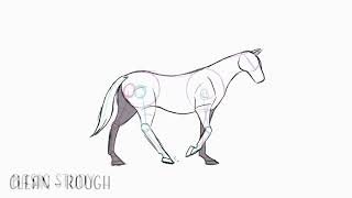 Horse Walk Animation Study  Finally facing my fears [upl. by Tserrof]