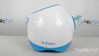 Ifetch Too Interactive Ball Launcher for Dogs Review 2018 [upl. by Rosenblast]