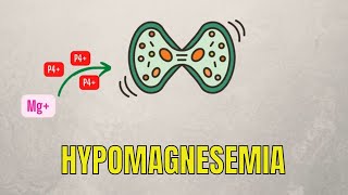 Hypomagnesemia Pathophysiology Causes Diagnosis and Treatment [upl. by Ahsenroc83]