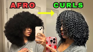 AFRO to CURLS  How to get DEFINED SHINY CURLS updated [upl. by Gettings]