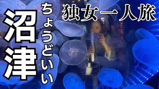 【沼津1泊2日】静岡ひとり旅にちょうどいい！沼津港・沼津深海水族館・三島大社・柿田川湧水群 [upl. by Demmer]